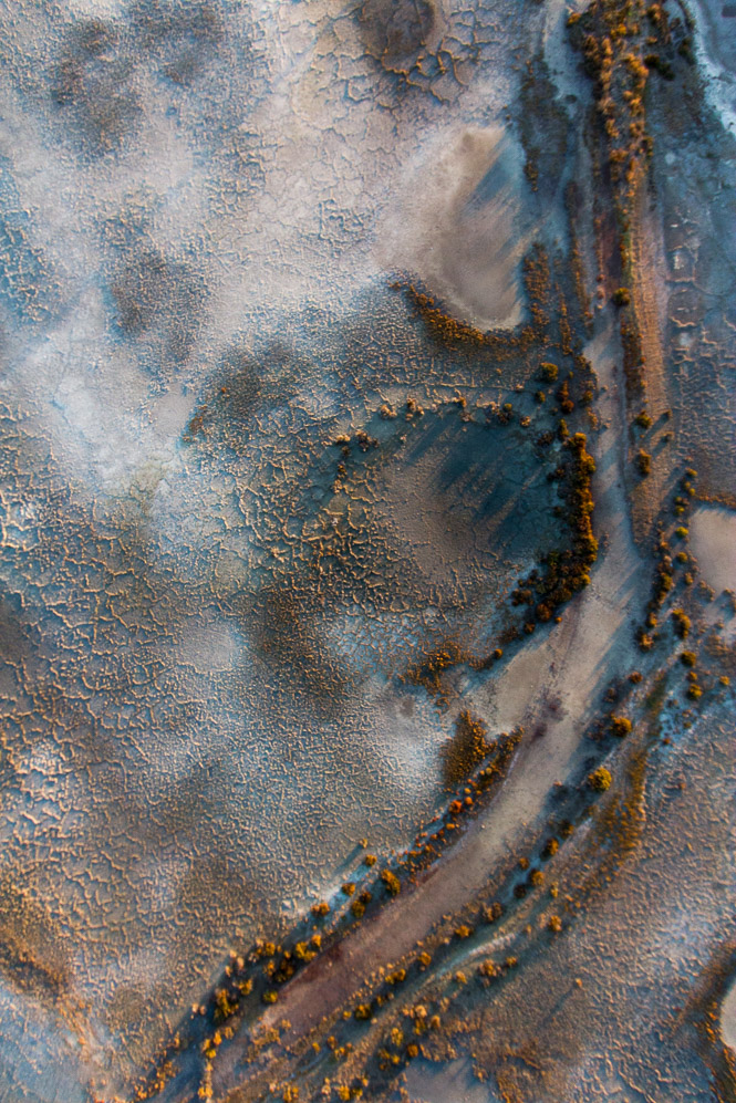 _MG_2026