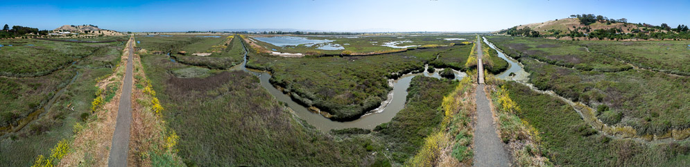 La Riviere Marsh pano from levee