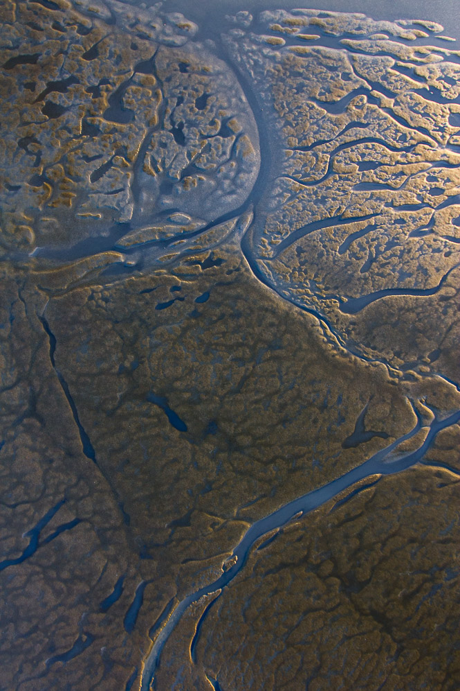 _MG_7210