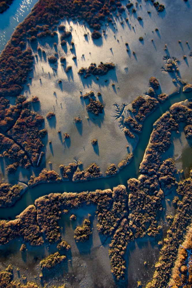 _MG_7730